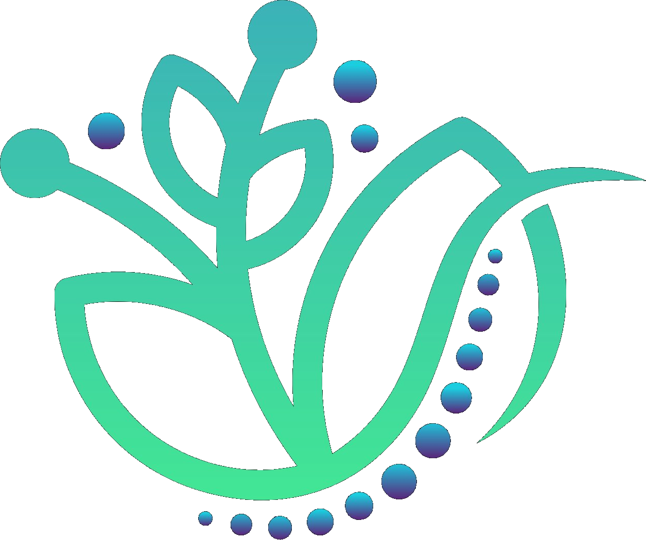 Quality Life Chiropractic icon